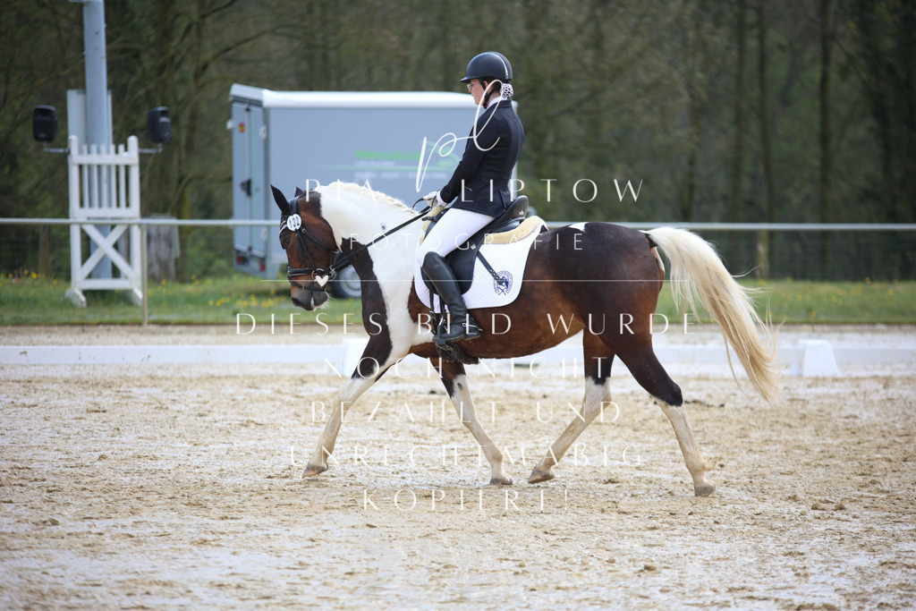 IMGT3458 | pl-fotografie