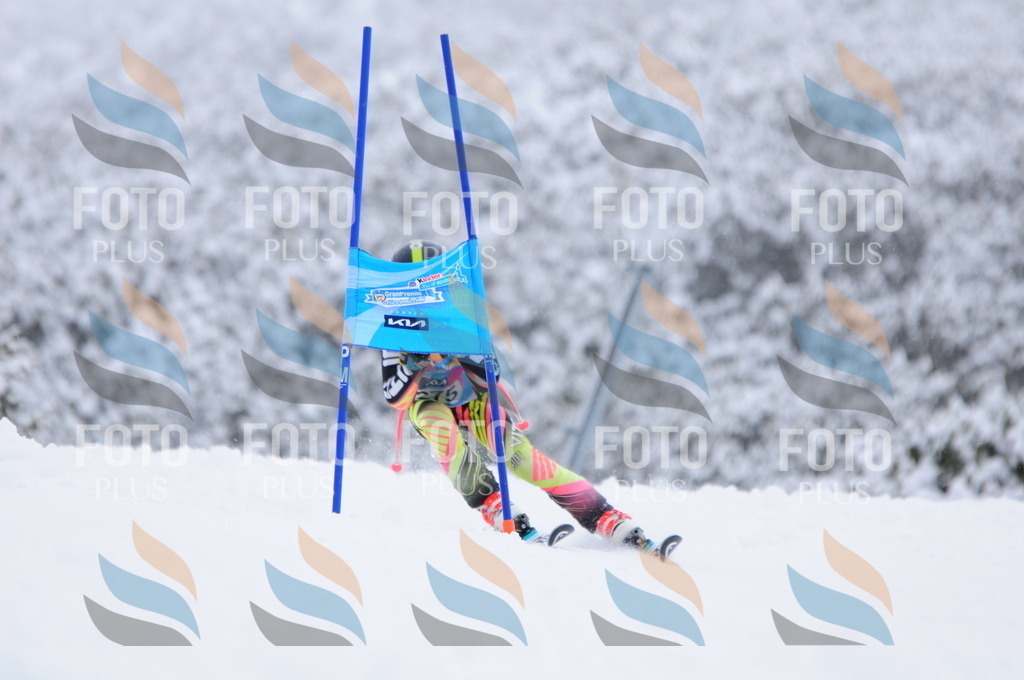 C2900 | holidayphoto