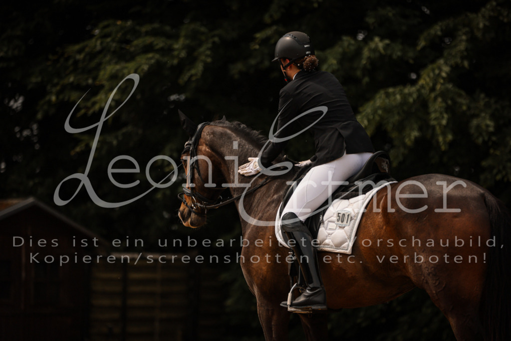 15.SaDrL00182 | Leoni Ertmer Photography - Realisiert mit Pictrs.com