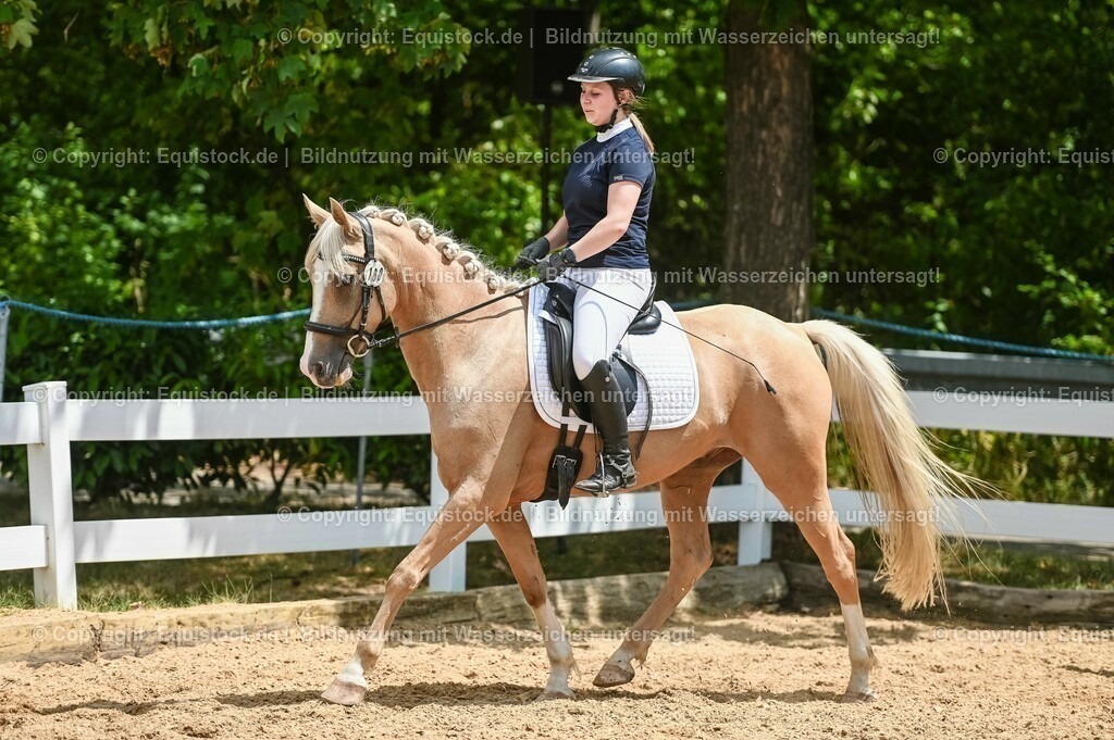 20230715_09_Dressur-WB_0523 | equistock