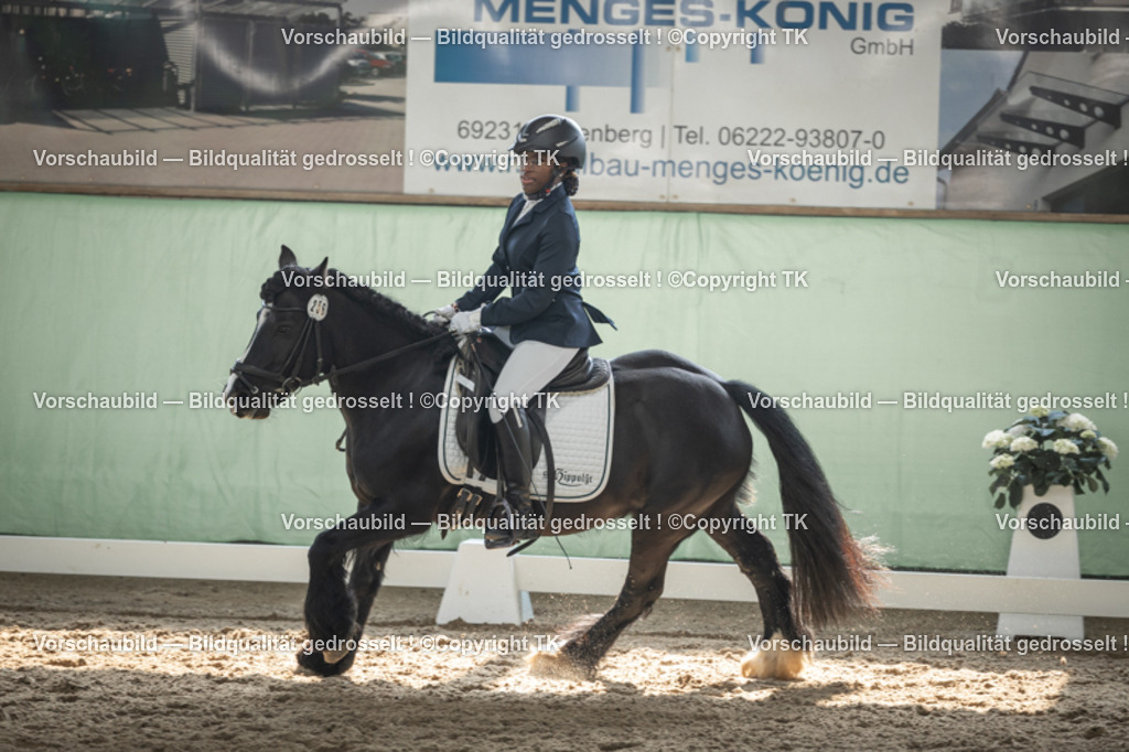 _D5A5544 | Emotionale Pferde- & People-Fotografie rund um Heidelberg, Leimen & Umgebung. Natürliche Fotos von Pferd, Mensch & Familie. Jetzt Termin sichern!