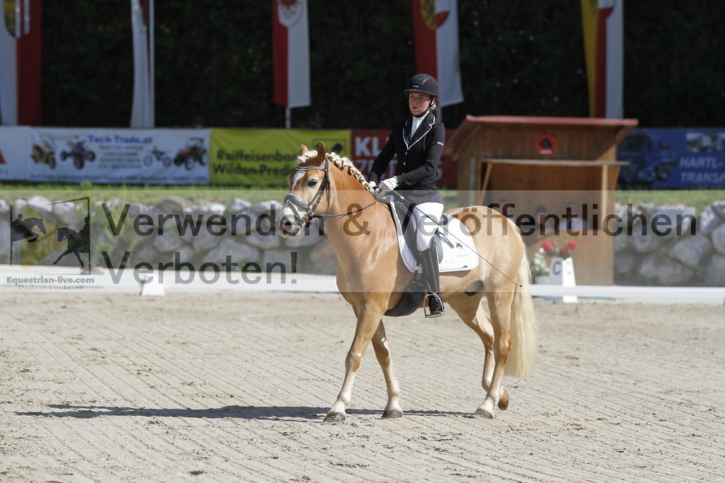 _MG_6520 | equestrian-live-com