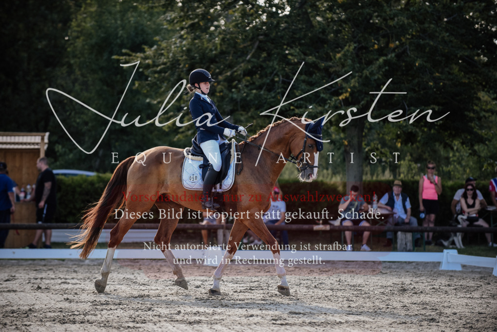 DSC_0508 | Pferde- und Turnierfotografie in Westsachsen. Pferdeportraits, Auftragszeichnungen und intuitive Kunst.