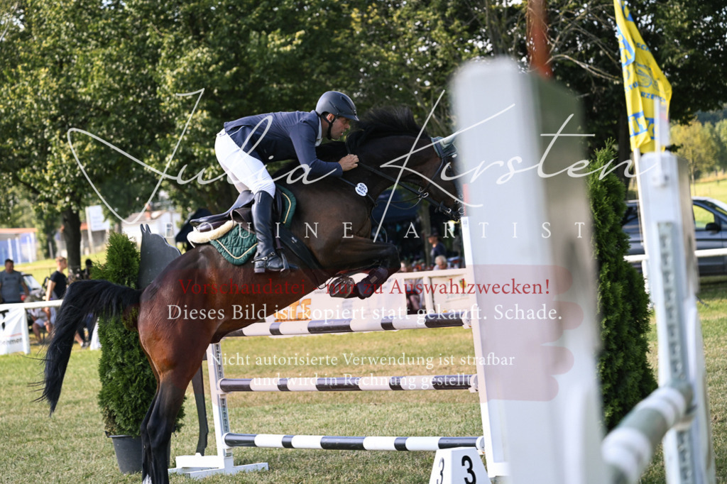 DSC_1402 | Pferde- und Turnierfotografie in Westsachsen. Pferdeportraits, Auftragszeichnungen und intuitive Kunst.