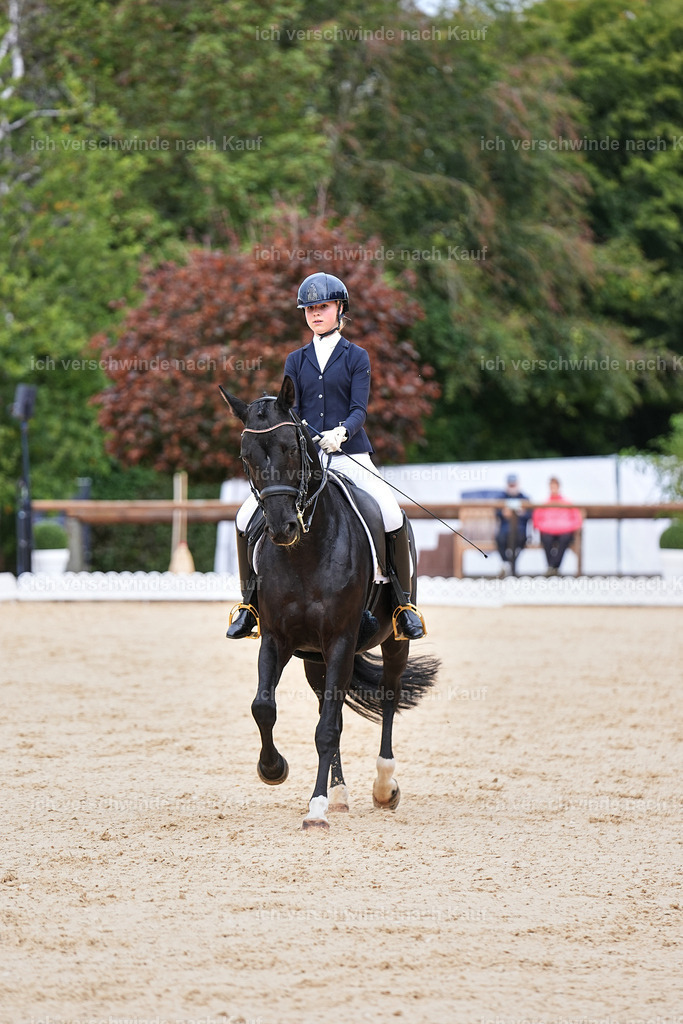 04_1-033-Dressur M__ -Marixx-2758 | working equitationturnier fotograf videograf stoibphotography marixx film working equitation deutschland reitsport turnierfotografie eventfotografie equestrian events