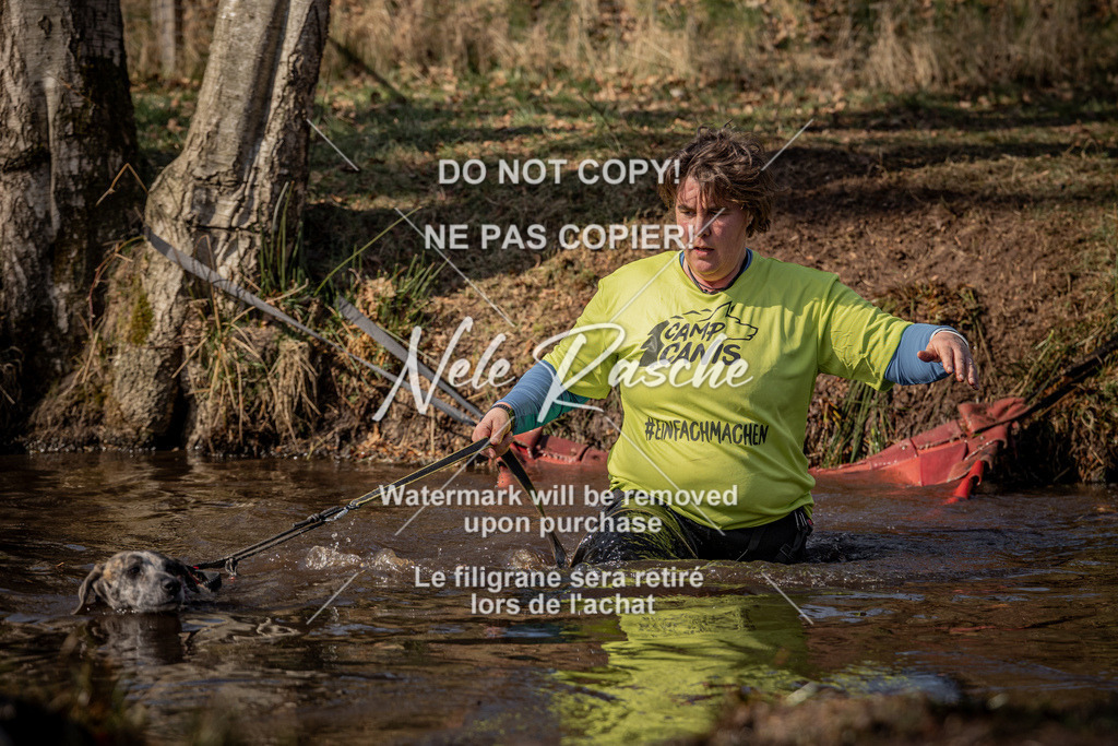 nelerasche_FS1330-1400_57 | nelerasche