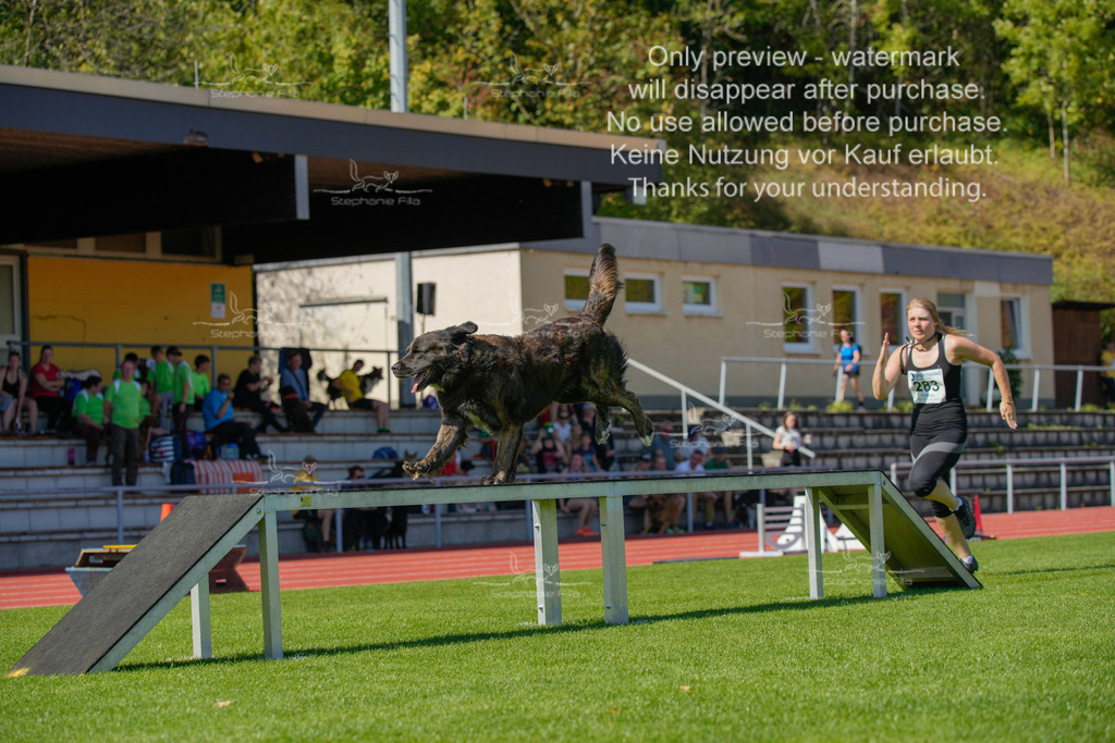 Sonntag_VK Hindernis (560 von 671) | stephaniefillaphotographie - Realisiert mit Pictrs.com