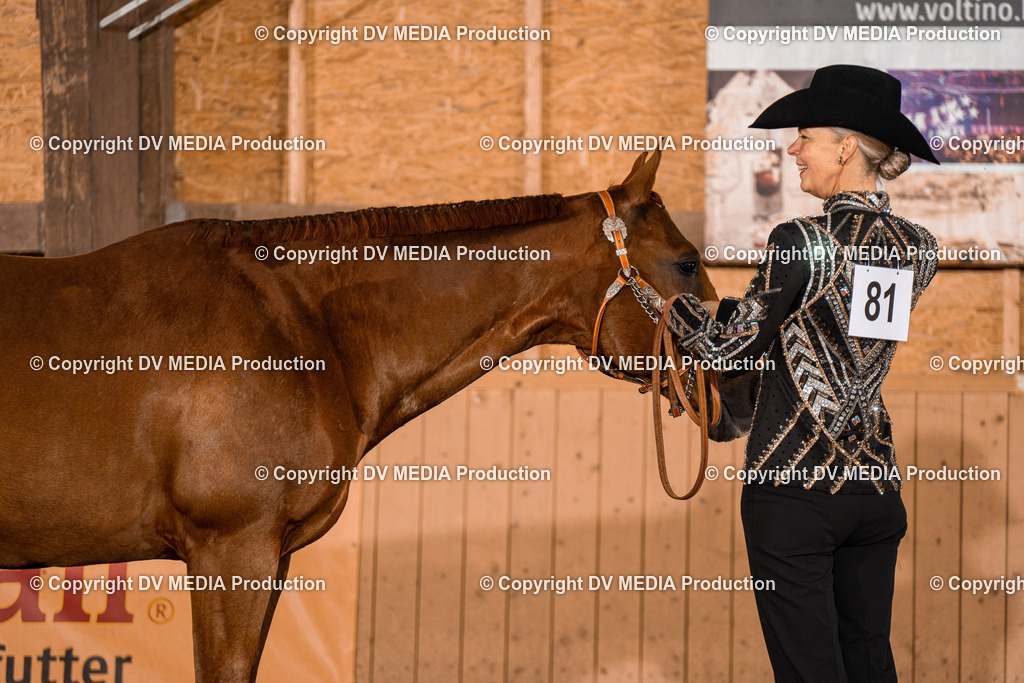 NE100029 | dv-media-shop - Realisiert mit Pictrs.com