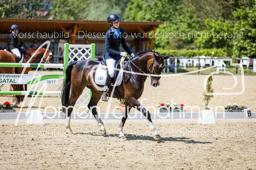 Donop24-EDre-015 | MomenTaufnahmen Pferdesportfotos