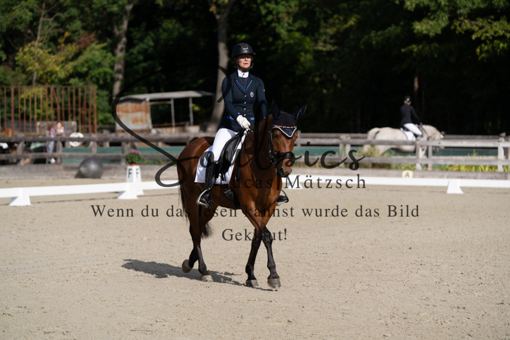 A7V06866 | Pferdefotograf