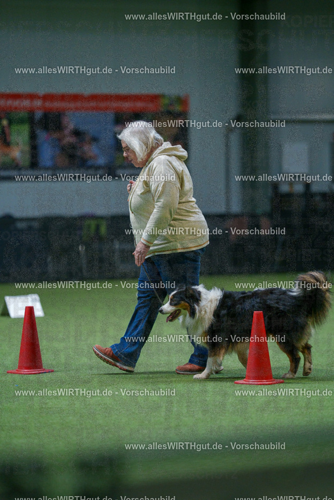 7R501440 | Professionelle Tierfotografie in Mönchengladbach von Daniel Wirth (allesWIRTHgut). Liebevolle & natürliche Bilder von Hunden & Katzen für unvergessliche Erinnerungen.
