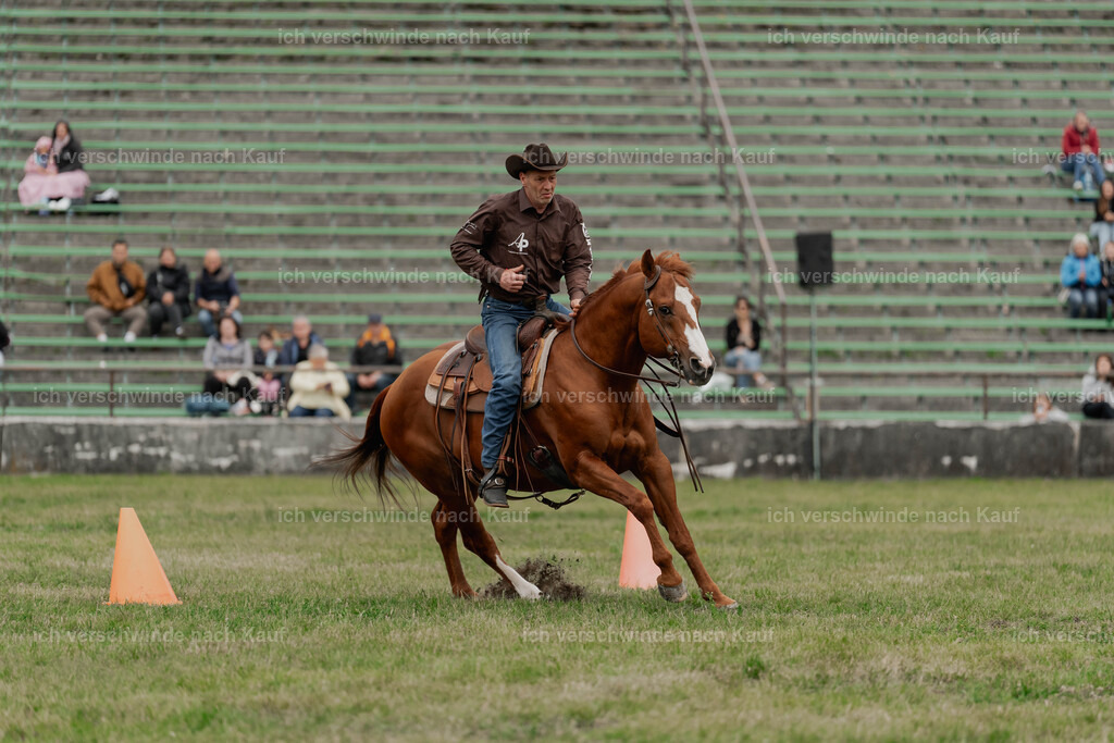 Showprogramm-489 | working equitationturnier fotograf videograf stoibphotography marixx film working equitation deutschland reitsport turnierfotografie eventfotografie equestrian events