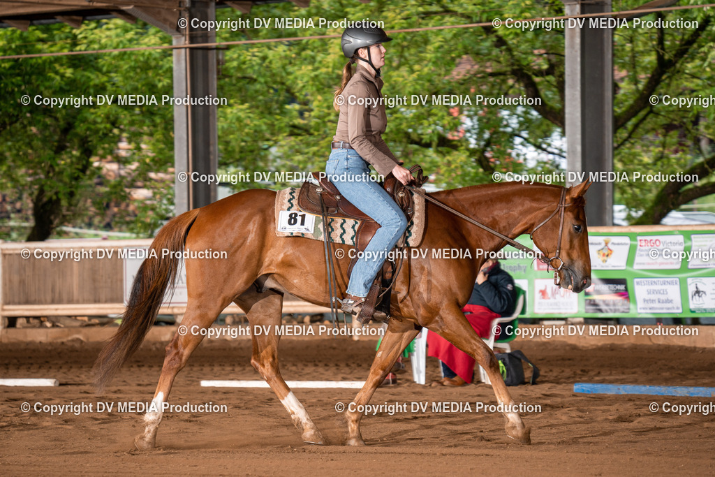 Erbach Tag 2-262 | dv-media-shop - Realisiert mit Pictrs.com