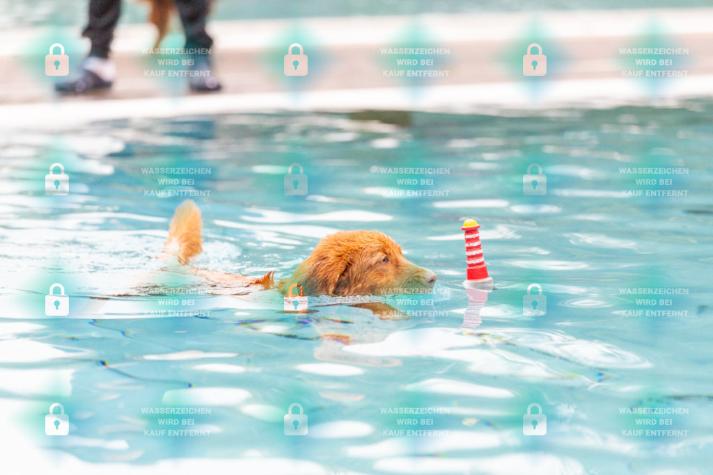 _HP_7211_1000o | HetPix, HetPix Fotodesign, Fotografie, Fotodesign, Webshop, Sportfotografie, Portraitfotografie, Onlineshop, Sportfotografie, Polch, Motorsportfotografie, Eventfotografie