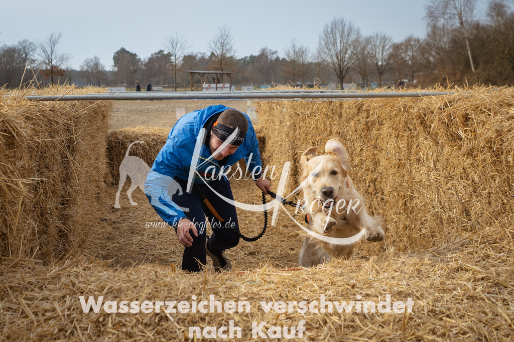 1113_ZZ92425 | kk-dogfotos