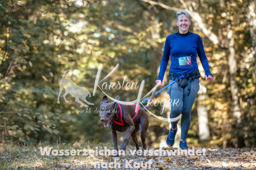 1027_ZZ99963 | kk-dogfotos