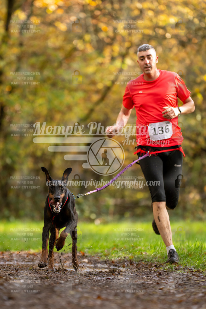 MompixPhotography_Bischwiller23_Canicross-130 | PayLife