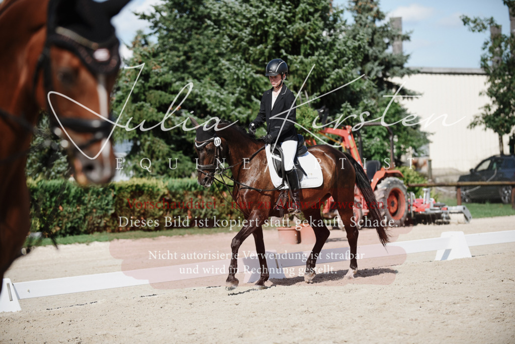 DSC_0084 | Pferde- und Turnierfotografie in Westsachsen. Pferdeportraits, Auftragszeichnungen und intuitive Kunst.