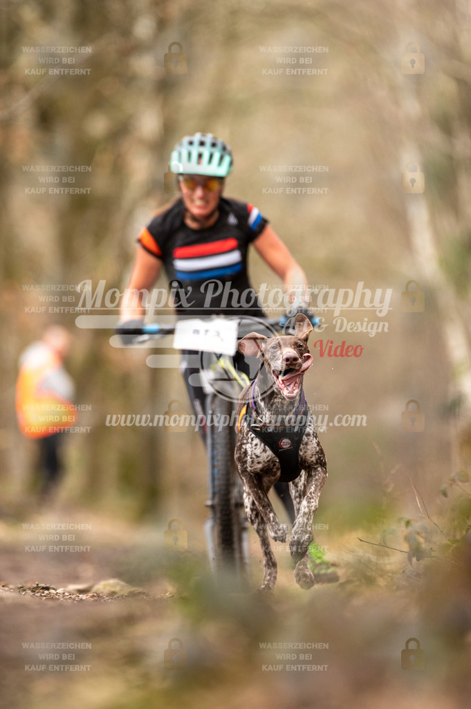 SPA_2023_SAM_Scooter-38 | PayLife