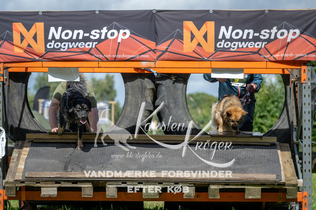 1318_ZZ94913 | kk-dogfotos