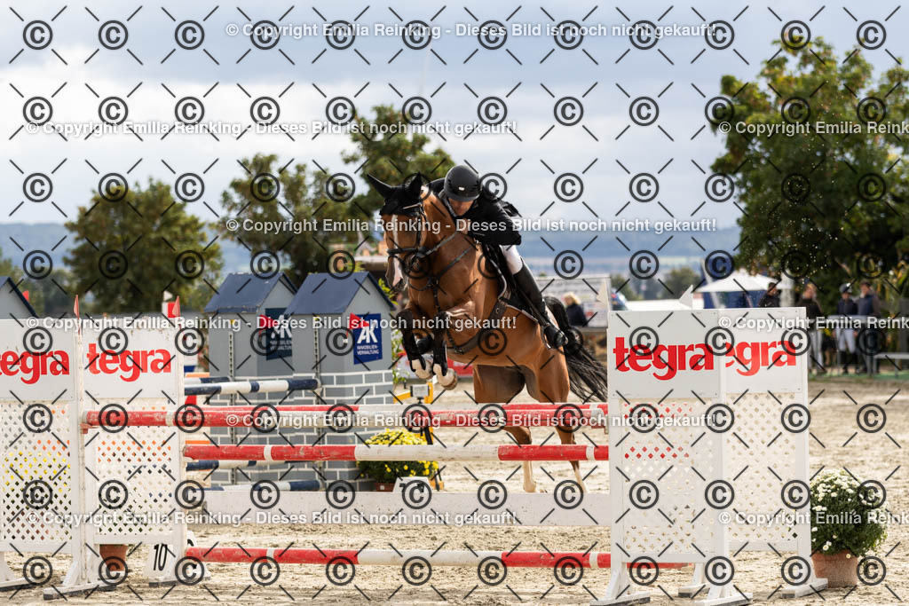 CL5A9934 | Emilia Reinking Fotografie - Realisiert mit Pictrs.com