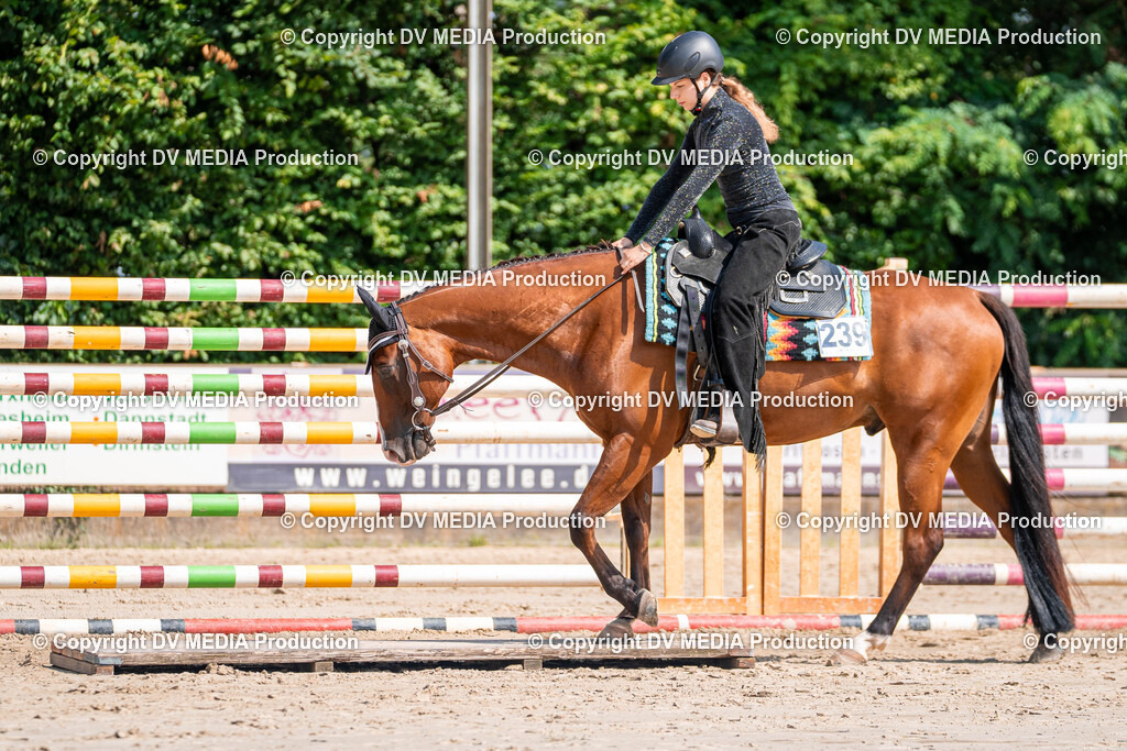 Zeiskam Tag 3-281 | dv-media-shop - Realisiert mit Pictrs.com