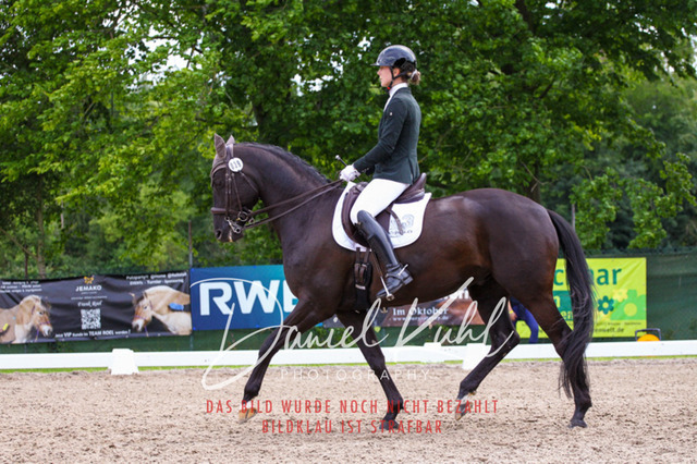 DKP41250 | Turnierfotos kaufen im Webshop von Daniel Kuhl Photography – entdecke professionelle Reitsportfotos aus Turnieren & Events. Hochwertige Turnierbilder online bestellen & sichern. Jetzt Fotos von Reitsportturnieren kaufen!