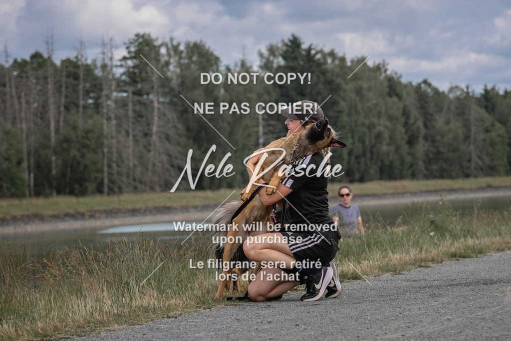 nelerasche_BuHu2026_SaCC1100-1200_137 | nelerasche