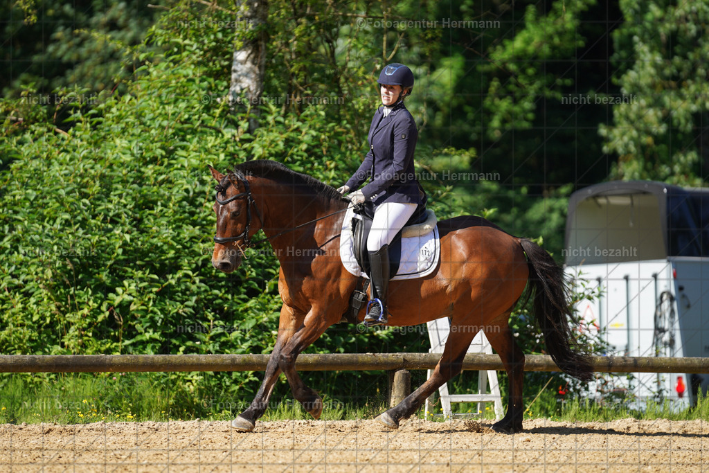 20240706-FAH04529 | Grafing Turnierfotos, Reitverein Ebersberg, Turnierfotografen Bayern, reitsportbilder, Pferdefotograf, reitsportfotograf, Sportbilder, Reitsportfotografie, Fotoagentur Herrmann, Turnierfotograf