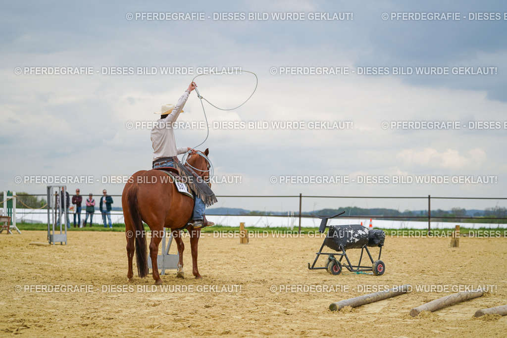 DSC07151 | Pferdegrafie
