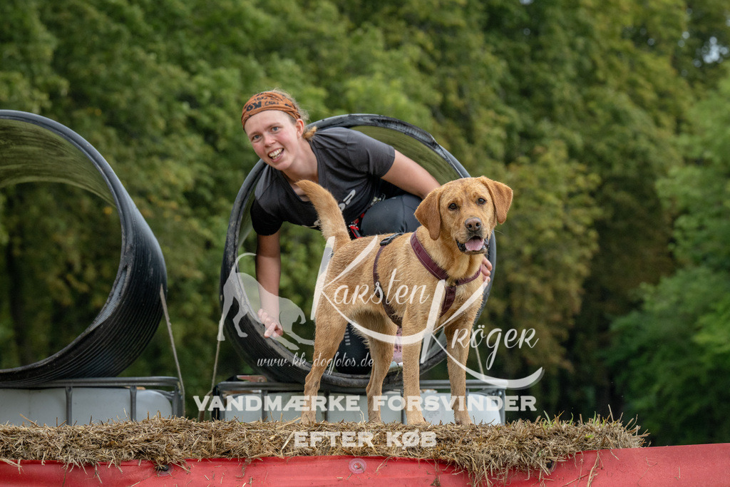 1128_ZZ94314 | kk-dogfotos