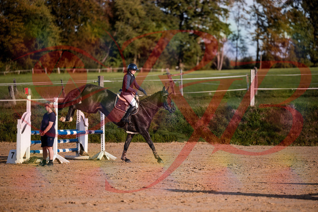 2026_10_03_Siefer-Hof_171558_Z81_13859009 | Professionelle Reitsport-, Turnier- und Eventfotografie von Robert Broda. Galerien mit ausgewählten und bearbeiteten Bildern direkt online ansehen und bestellen.