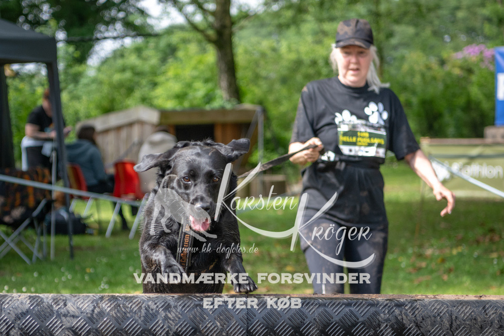 1009_ZZ94309 | kk-dogfotos