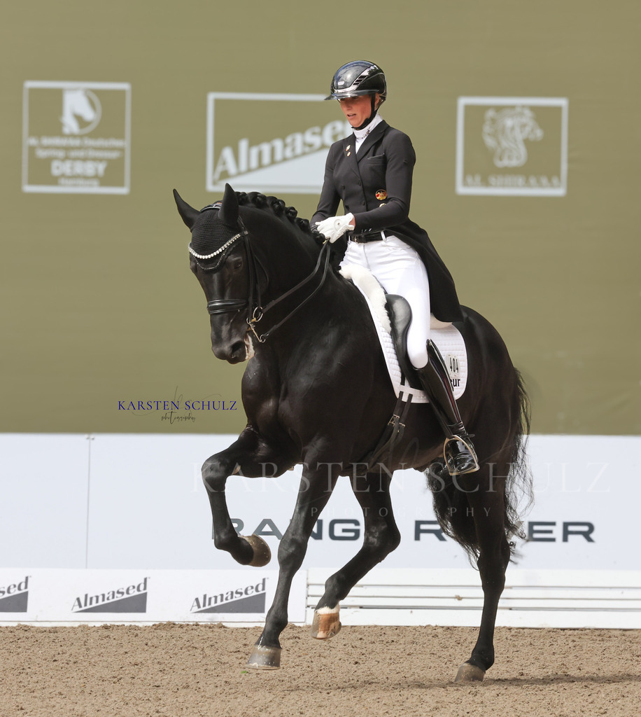 1B3A3939 | Reitsport Reiten