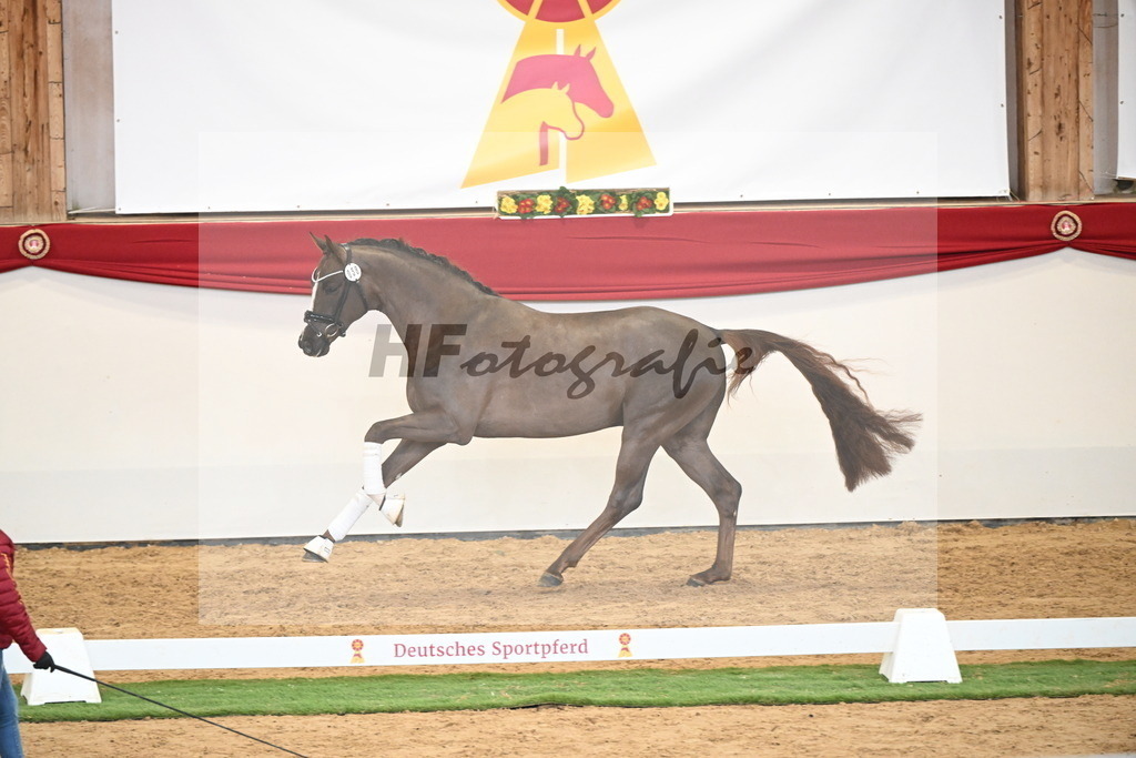 Kat.-Nr. 58 v. Floricello_Heilemann_2250334 | hf-fotografie - Realisiert mit Pictrs.com