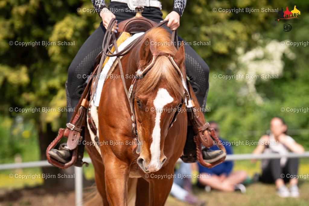LMB08964 | BS-foto