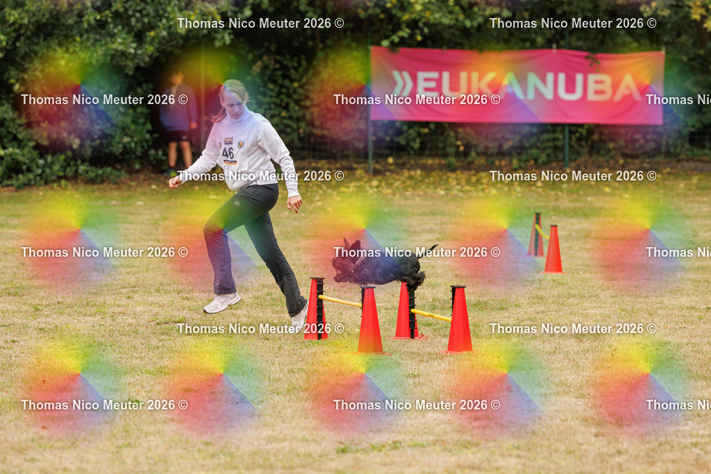 Thomas_Nico_Meuter(C)_23. August 2026_223A9677 | Bild von Thomas Nico Meuter - Realisiert mit Pictrs.com