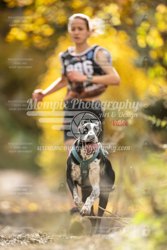 MompixPhotography_ICF_WC_2024_SA_Run_-138 | PayLife
