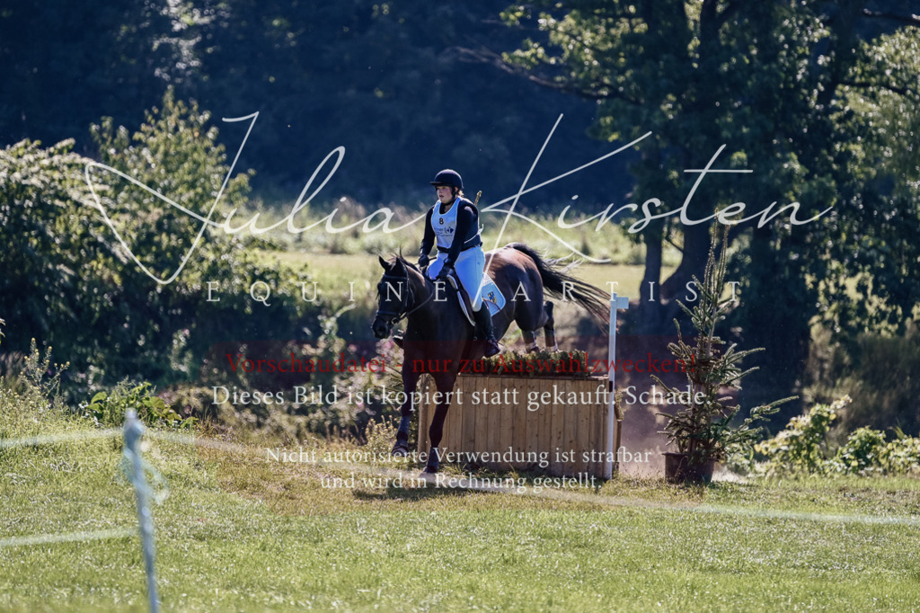 DSC_1599 | Pferde- und Turnierfotografie in Westsachsen. Pferdeportraits, Auftragszeichnungen und intuitive Kunst.