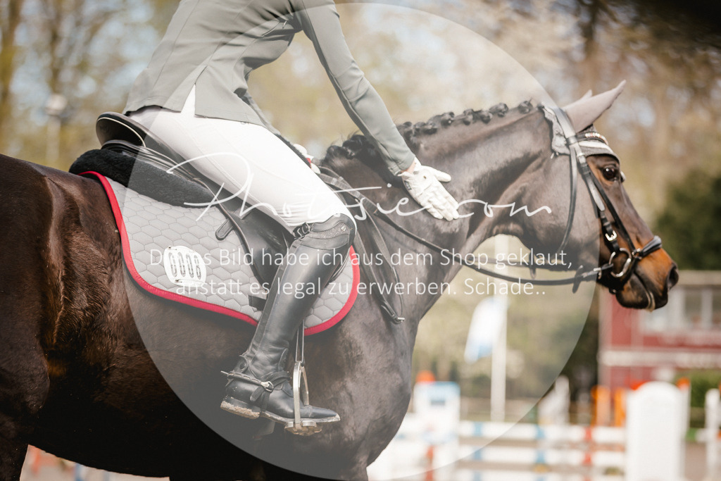 3I6A3340 | Stimmungsvolle Portraits und Reitsportfotografie im Ruhrgebiet und im Münsterland.

Pferdefotografie, Hundefotografie, Tierfotografie, Reportagen, Portraits von Tier und Mensch, Turnierfotografie in Bochum, Recklinghausen, Marl, Haltern am See, Dülmen.. - Realisiert mit Pictrs.com
