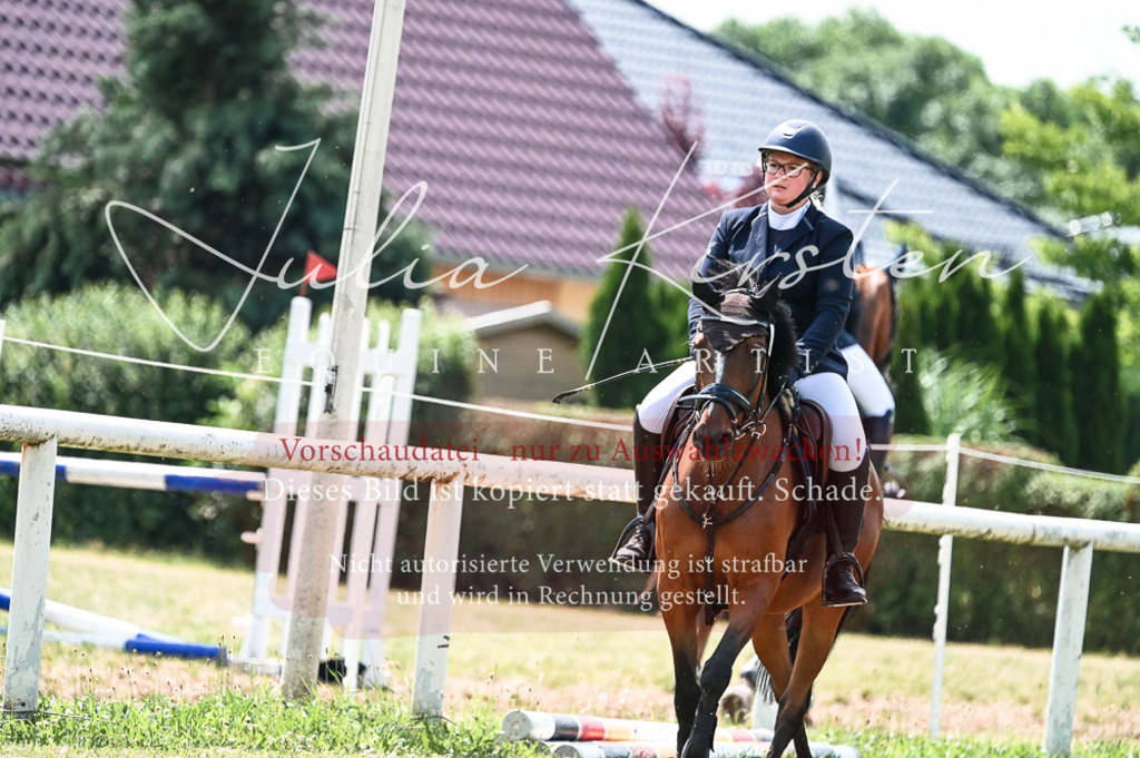 DSC_9301 | Pferde- und Turnierfotografie in Westsachsen. Pferdeportraits, Auftragszeichnungen und intuitive Kunst.