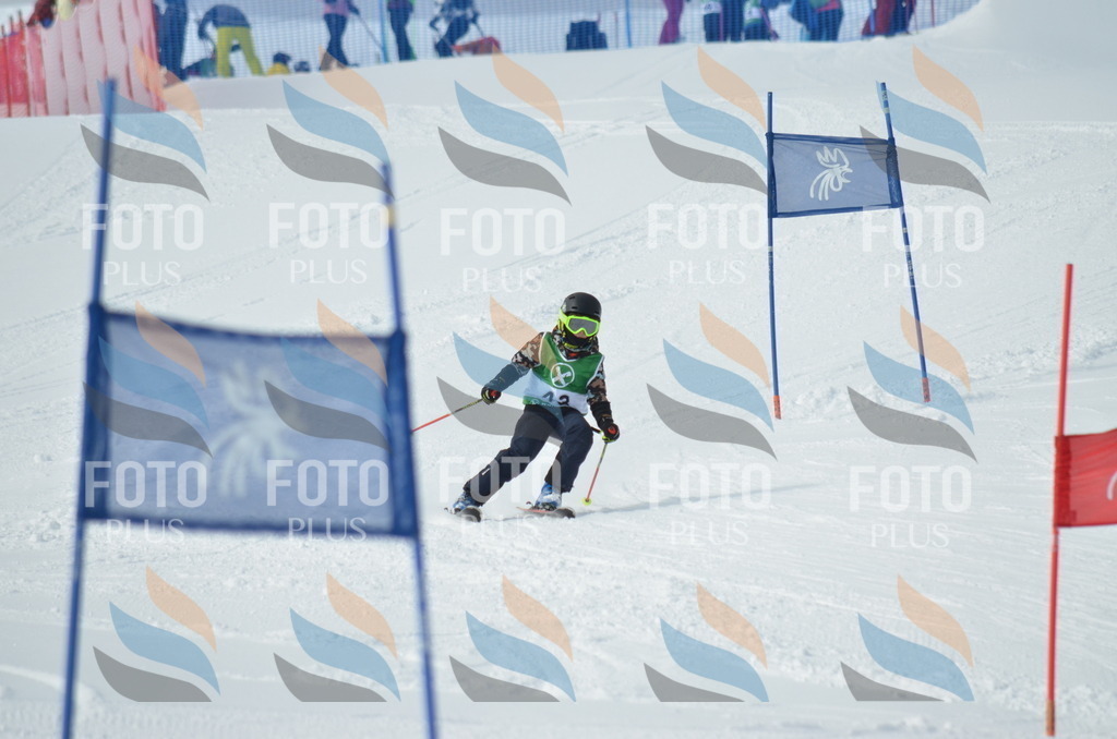 D8725 | holidayphoto