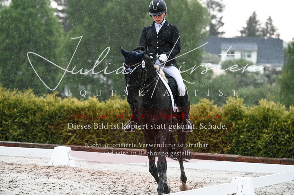 DSC_4732 | Pferde- und Turnierfotografie in Westsachsen. Pferdeportraits, Auftragszeichnungen und intuitive Kunst.