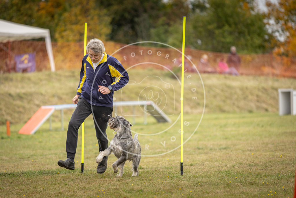 Pfotenfotografie_DV3A5323 | Hundefotografie, Tierfotograf, Pfotenfotografie, Fotoshooting Hund, Hunde Portrait, Hundesport, Hundeportraits, Heideshooting, Hunde, Sportfotograf, Hundefotograf, Turnierhundsport, THS,  - Realisiert mit Pictrs.com