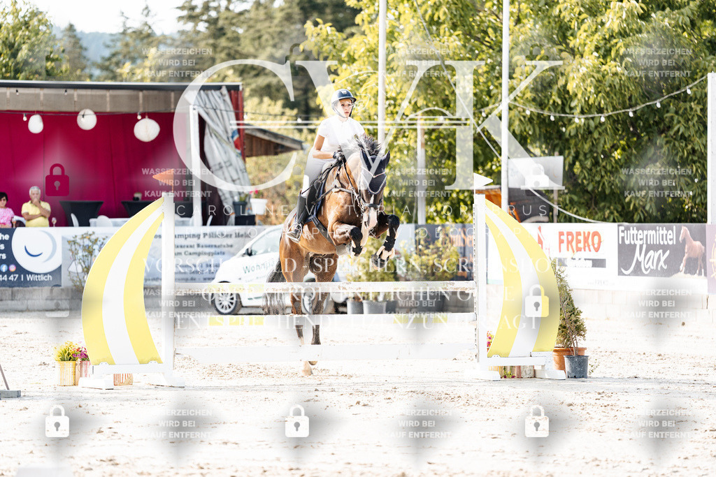 CK905939 | Turnierfotografie Pferdefotografie Trier Rheinland-Pfalz Pferdesport Reitsport Tierfotografie Sportfotografie Pferdevideo Pferdevideografie Equestrianvideography equestrianphotography  - Realisiert mit Pictrs.com