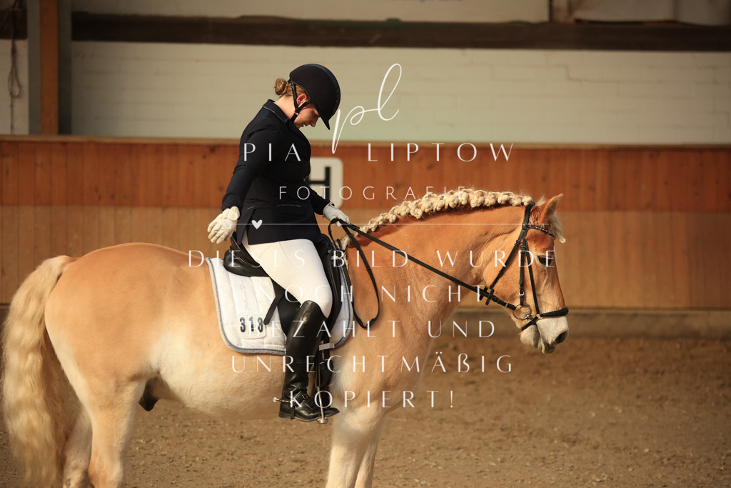 IMGT2010 | pl-fotografie