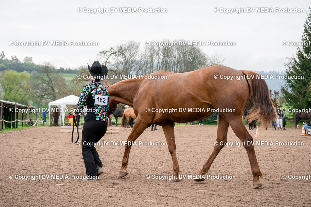 BA300082 | dv-media-shop - Realisiert mit Pictrs.com