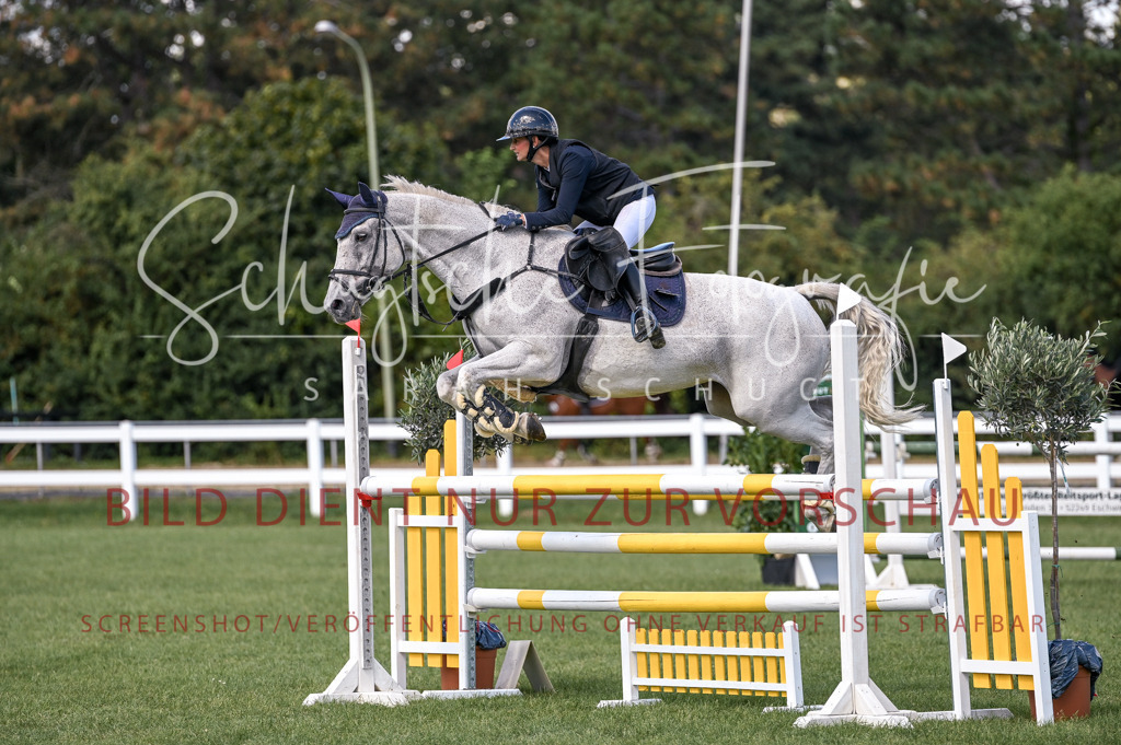 Schugtsche-Düren.2024-09.Springprf.L-87 | Schugtsche Fotografie - Realisiert mit Pictrs.com