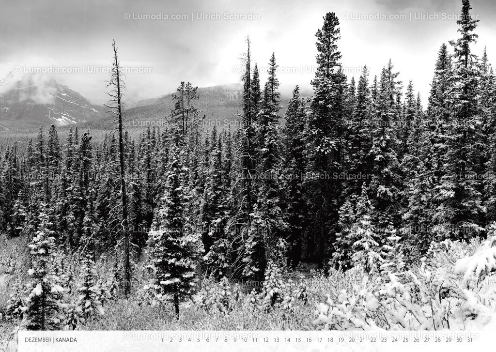 Kalender_Ausstellung_Landschaften-13 | Stockfoto und Bilderpool mit Bildmaterial aus Deutschland, dem Harz, Halberstadt, Quedlinburg, Wernigerode und weltweit. Qualitativ hochwertige und professionelle Fotos anschauen und kaufen. - Realisiert mit Pictrs.com