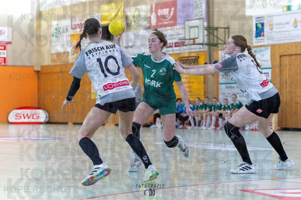 Jugendbundesliga wJA, Pokalrunde, HSG Kleenheim/Langgöns - Frisch Auf Göppingen | Jugendbundesliga wJA, Pokalrunde, HSG Kleenheim/Langgöns - Frisch Auf Göppingen am 28.02.2026 in Oberkleen (Weidig-Halle)Photo © 2026 - Jörg Heinrich - Realisiert mit Pictrs.com